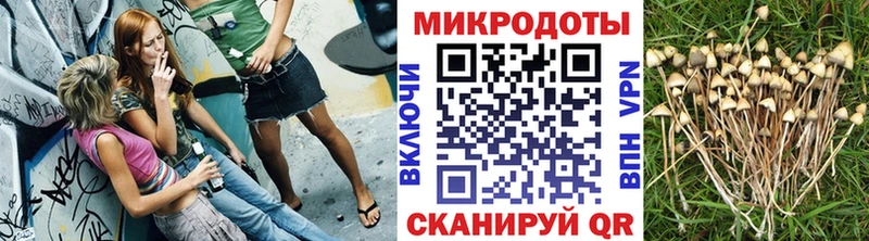 мега зеркало  Новая Усмань  Псилоцибиновые грибы MAGIC MUSHROOMS 